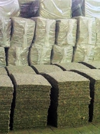 ���������� �� ���� � ����� FLAXAN F50 (��� ����, ����, �����)