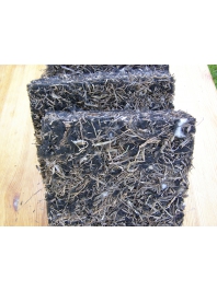 ���������� �� ��������� FLAXAN Z50