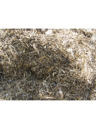 ����������� ������� ��� ���� � ���������� (�������� (�����), ��, ������)