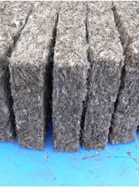 ���������� �� ������� � ��������� FLAXAN ���� (��� ����, ����, �����)