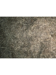 ����������� ������� ��� ���� � ���������� (��, ������)